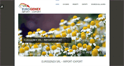 Desktop Screenshot of genexsrl.com