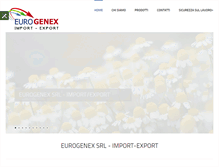 Tablet Screenshot of genexsrl.com